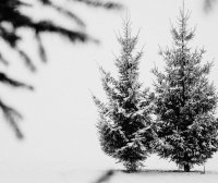 k8s给节点打标签命令