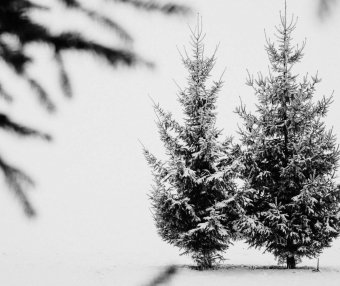 k8s给节点打标签命令